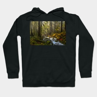 Winding Through The Sol Duc Rainforest Hoodie